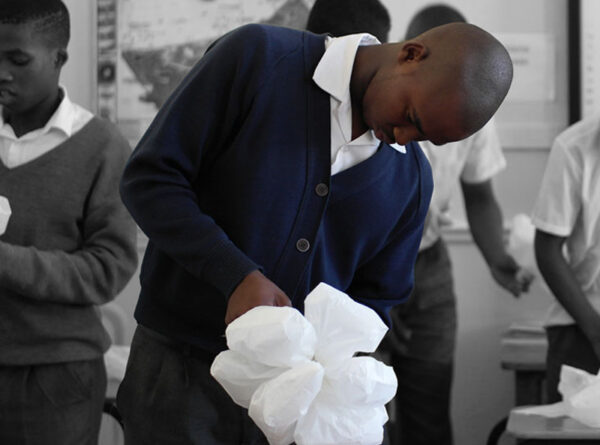 Protea Gold | Le Cap