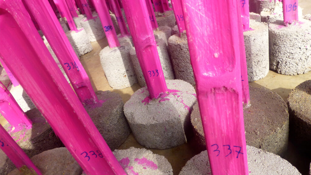 Details of the 365 Pink Sticks