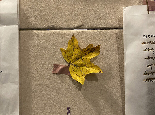 Does this leave carry any value for you?