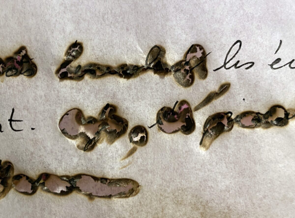 The World is Burning